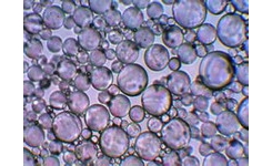 聚丙烯(或PVC) 玻璃微珠轻量化