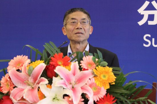 陈一龙：轻量化促进汽车产业升级转型