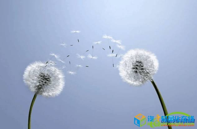 一次成型全塑车身