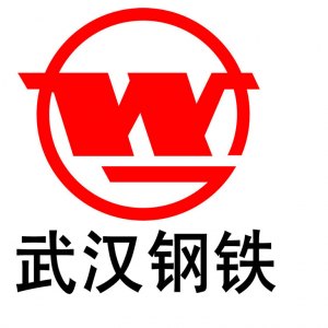 武汉钢铁（集团）公司