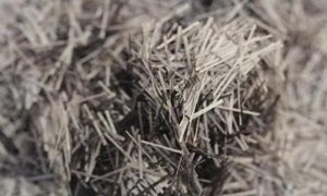 玄武岩纤维可“点石成金” 或成未来汽车新材料