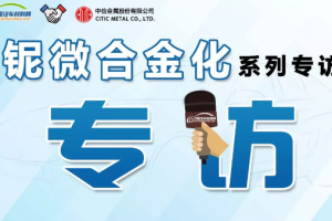 林建平：从“材料—零件—整车”多维度思考 纵深挖掘轻量化潜力
