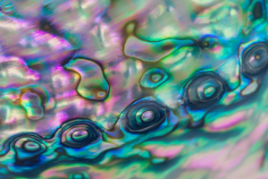 研究人员开发轻量耐高温合金 有助于推广天然气汽车