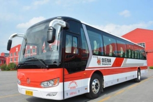 能源汽车获发展新动力 中国忠旺持续助推轻量化进程