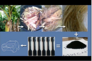 大蕉纤维或能有助于打造出更轻、更牢固的汽车